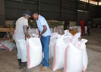 Kenya Maize Imports Down 26% on Restricted Uganda, Tanzania Shipments