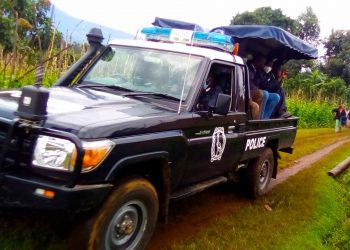 Goat thief lynched to death, No tears from community who say he had it coming.