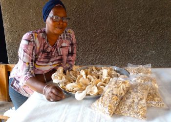 Winnie Bavuga: the farmer who lets nothing go to waste.