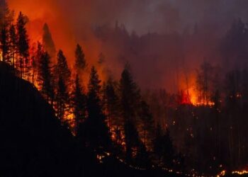 Communities tipped for putting out Fire in Mgahinga National Park