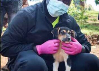 Veterinarian from Uganda wins Prestigious Ymke Warren Memorial Conservation Award