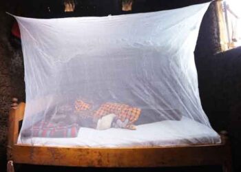 207,720 Insecticide Treated Mosquito Nets for Kisoro District.