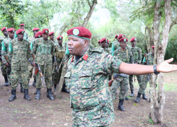 Ugandan troops in DRC put on alert