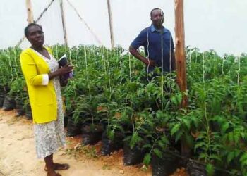 Small Holder Farmers in Kisoro tipped on Sustainable Market Based Agriculture