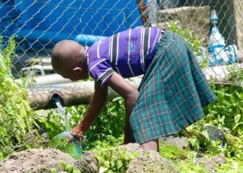 Buried Rivers, The Mysterious Vital Water Resource in Kisoro Municipality