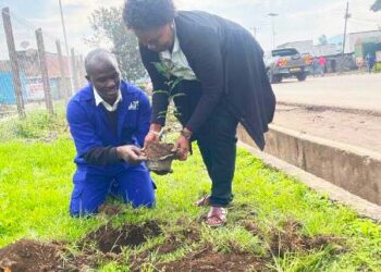 Rotary Club Mgahinga Kisoro to Plant 100,000 Trees in Kisoro Municiplaity