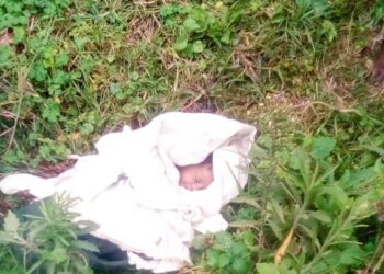 New-born baby dumped near Reverend’s home