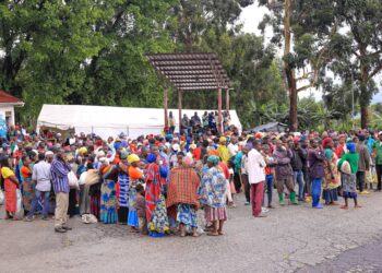 DRC Crisis Drives 50% Surge in Asylum Seekers at Nyakabande Transit Center